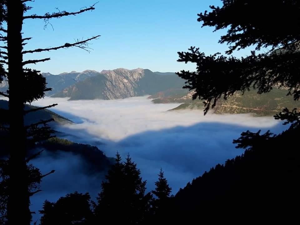 Omalia Village Ano Khora Exteriör bild